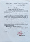 Quyết định phân hạng trường